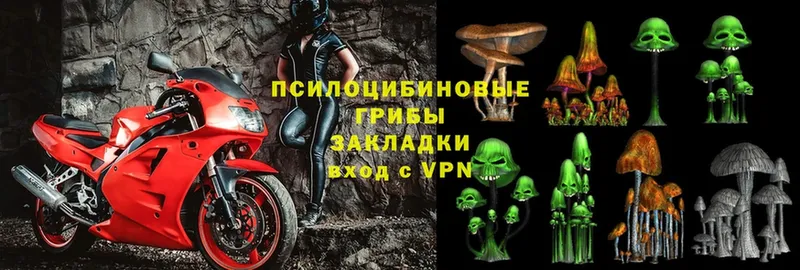 Галлюциногенные грибы MAGIC MUSHROOMS  ОМГ ОМГ ссылка  Магадан 